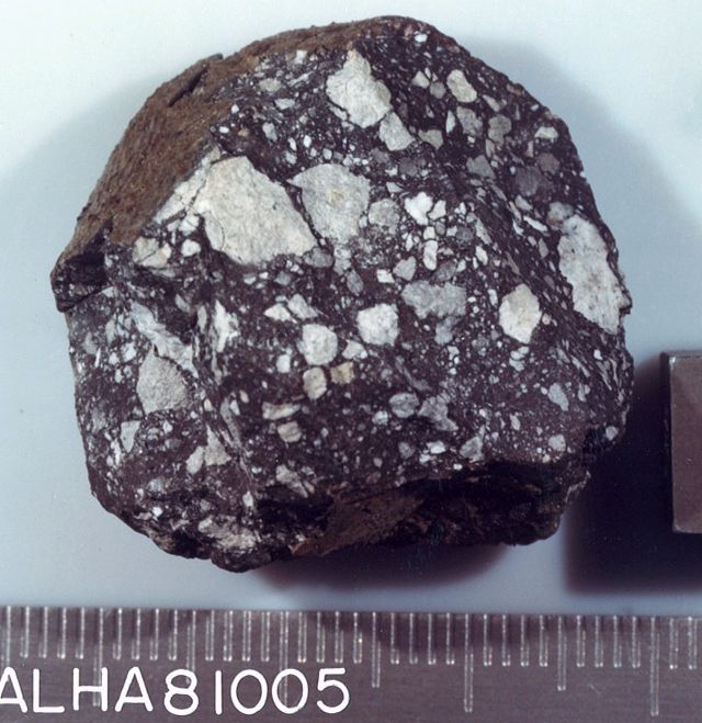 lm_alha81005_s83-34612.jpg