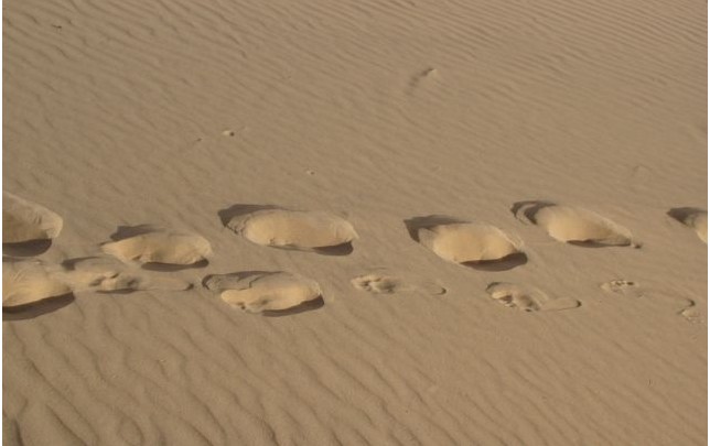 QQ截图20110922174900.jpg