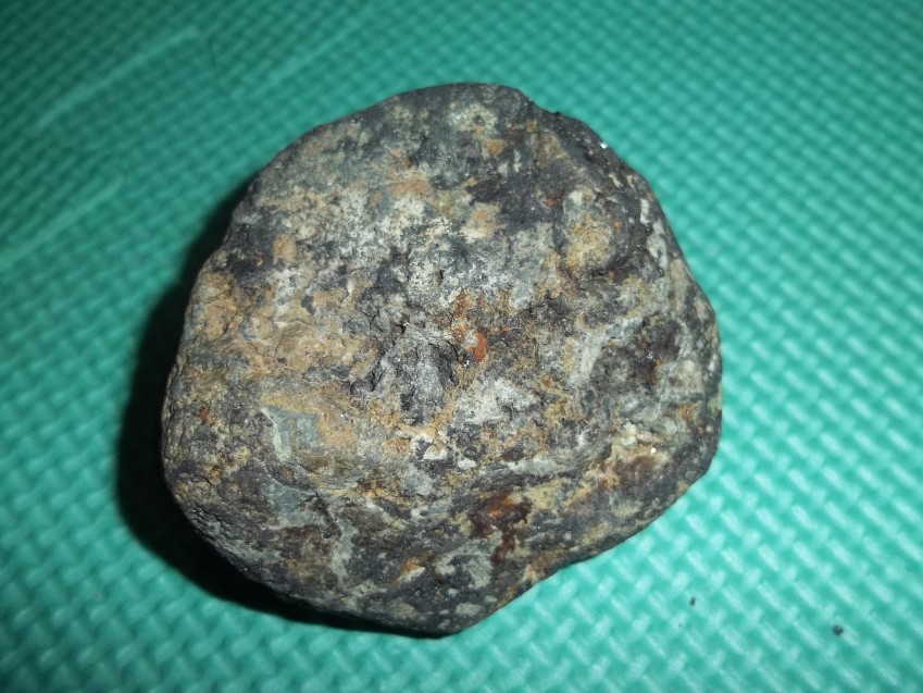 100_0346_conew1.jpg
