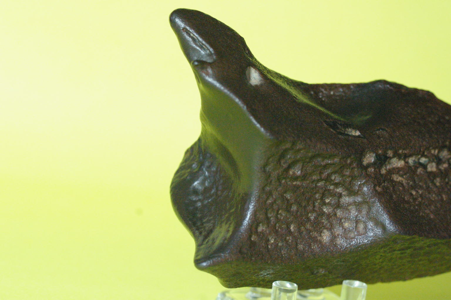 Lop Nor-540-8.JPG