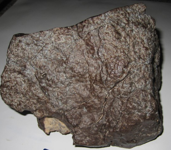 kumtag-4750-2.jpg