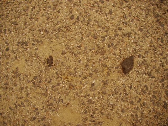 DSC07365.JPG