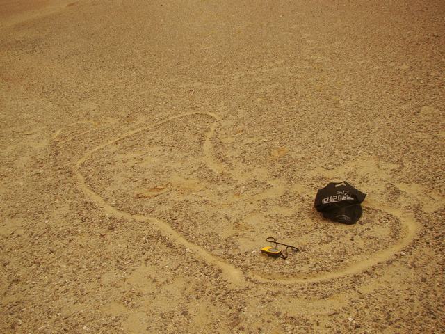 DSC07412.JPG