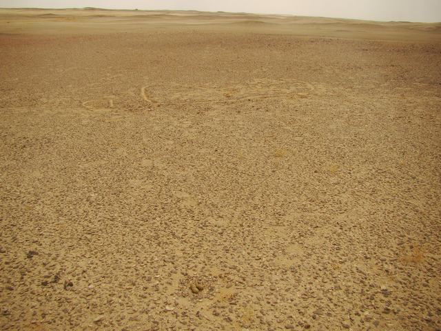 DSC07414.JPG