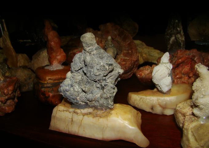 DSC09584.JPG