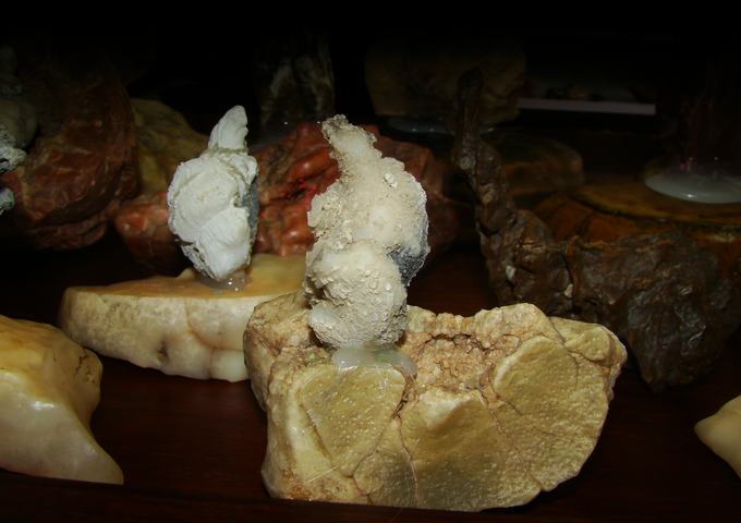 DSC09590.JPG