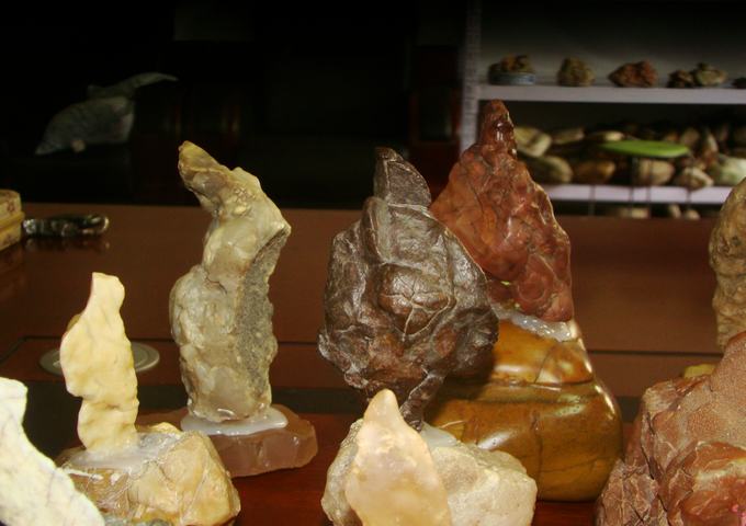 DSC09600.JPG