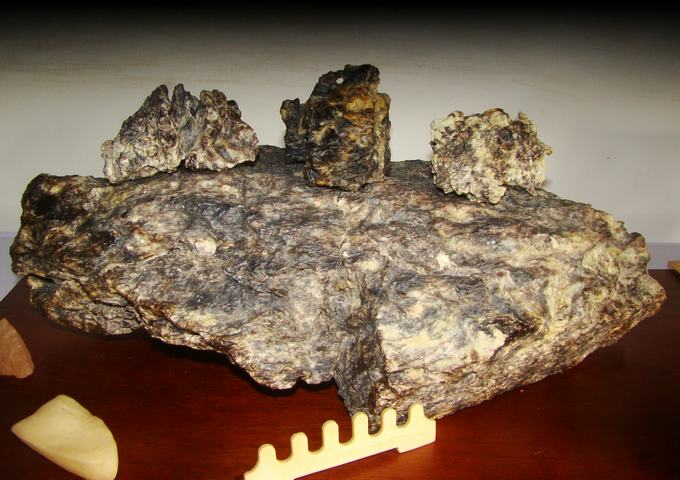DSC09664.JPG