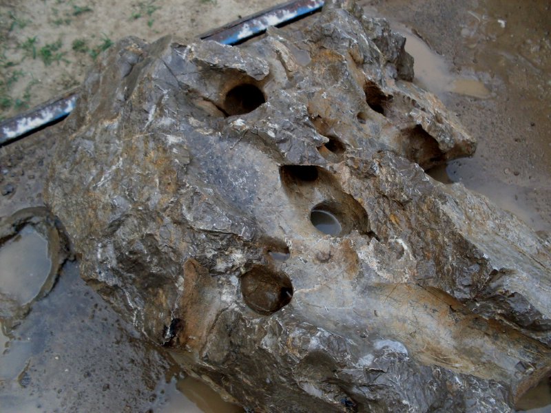 SDC14083.JPG