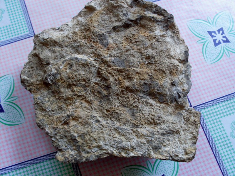 SDC14108.JPG