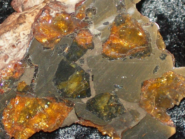 陨石·Pallasite·Jaybird泉-img-326-363-3[1].jpg