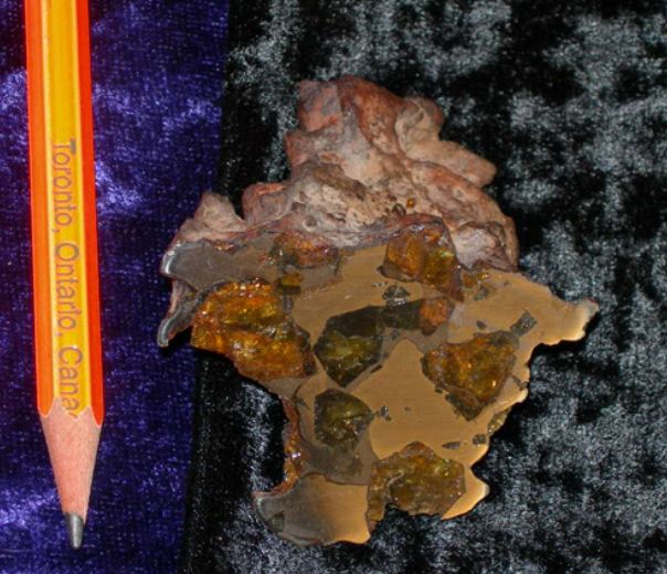 陨石·Pallasite·Jaybird泉-img-326-363-1.jpg