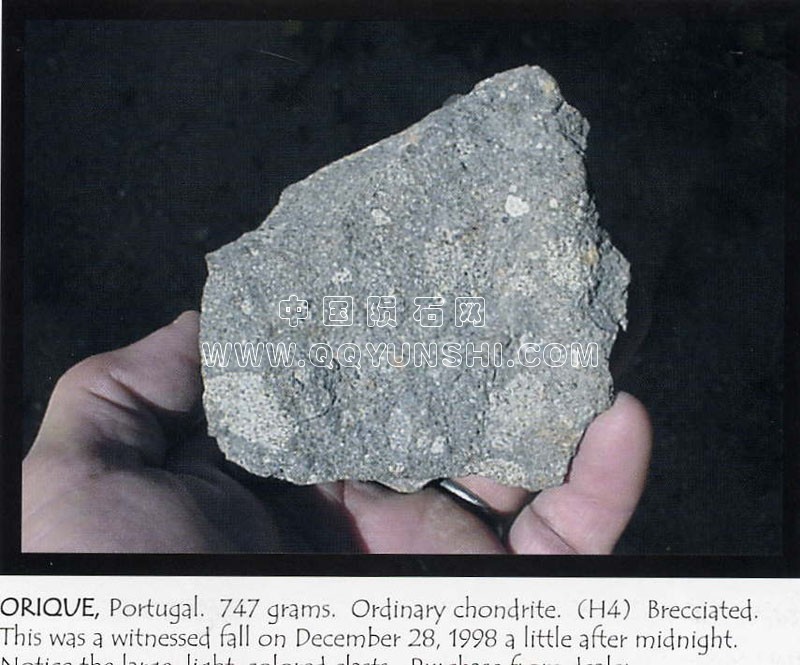 122950y1qgy66ru44yg22o[1].jpg