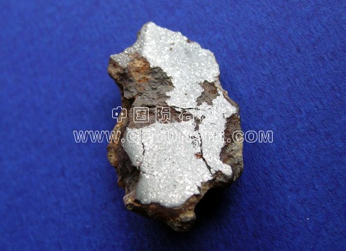 sau2903[1].jpg