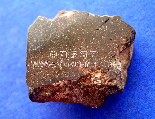sau2901[1].jpg