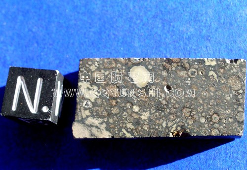 axtell1a[1]美元.jpg