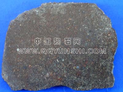 nwa20831[1]4.63克片。 93.00美元.jpg