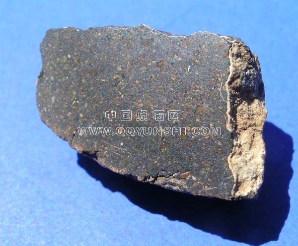 nwa20834[1].jpg