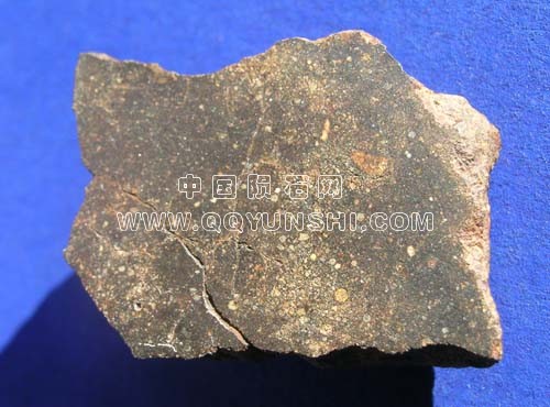 nwa48686[1].jpg