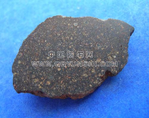 nwa20903[1].jpg
