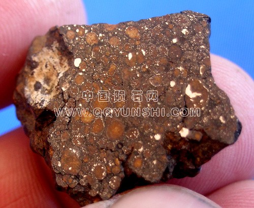 nwa8012[1].jpg
