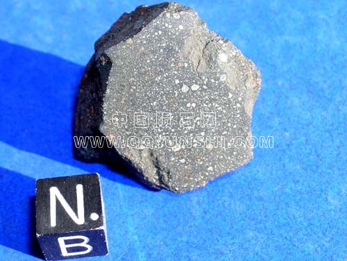 murchison1a[1]1.jpg