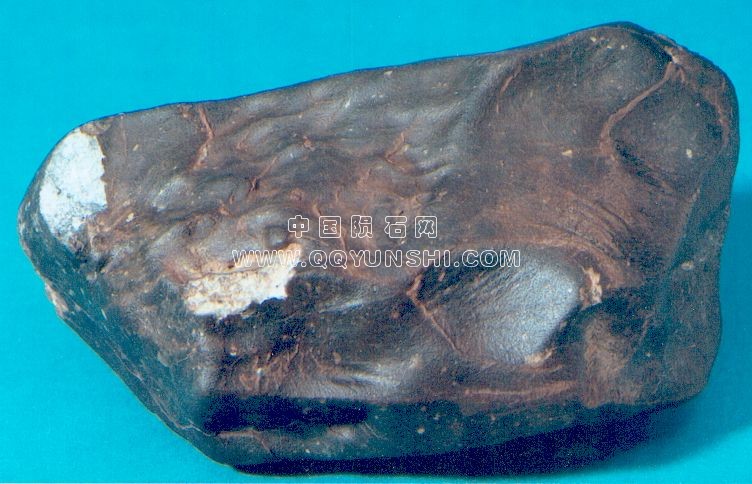 nwa482_l[1]lunar meteoriteNorthwest Africa 482(photo courtesy of Jim Strope).jpg