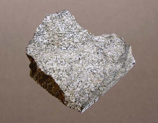 cachari-g[1].jpg