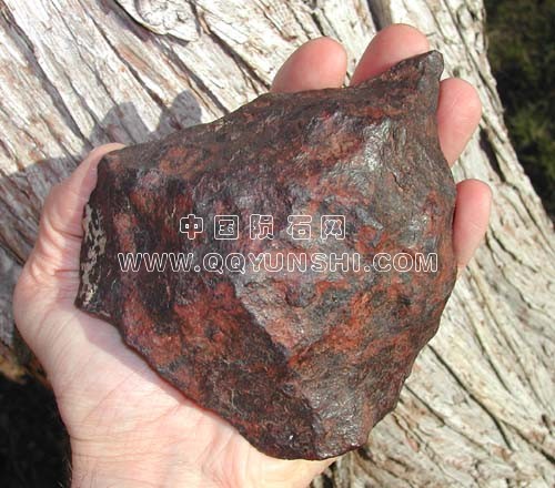 cd_cilz[1].jpg