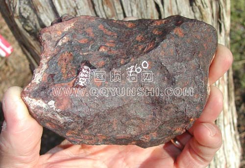 cd_huss[1].jpg
