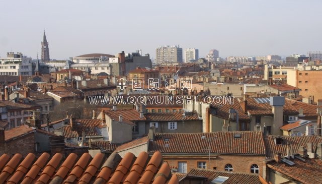 Toulouse_toits_depuis_Boulbonne[1].jpg