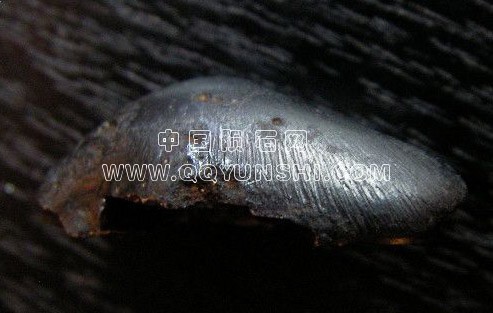 6d199d1bha9ccfc7f4623&690[1].jpg