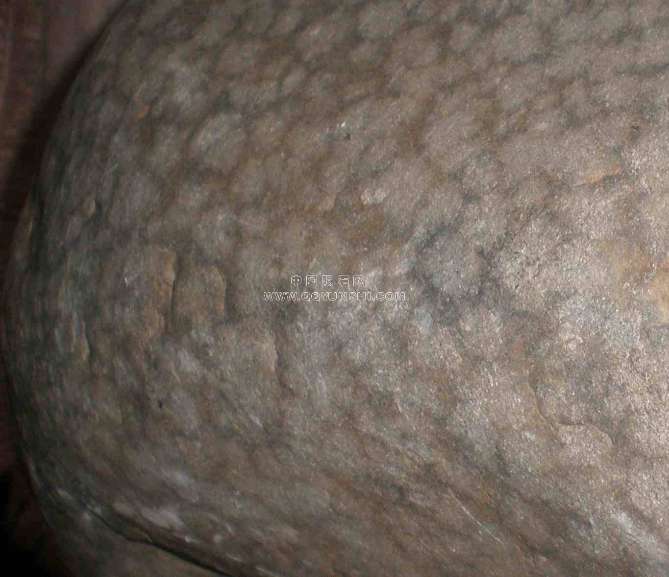 70004.jpg