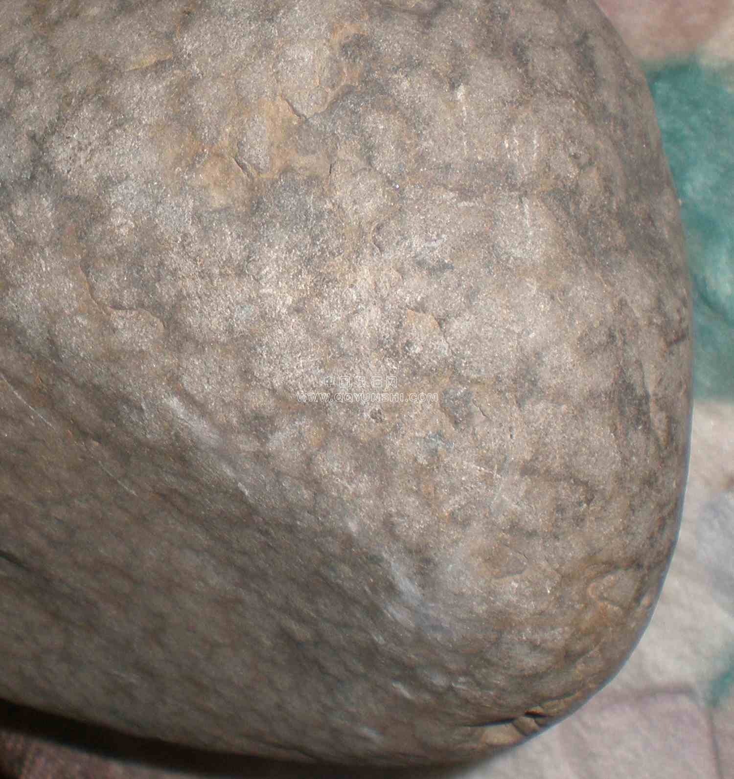 70005.jpg