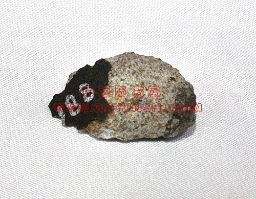 castalia-12.3[1]CASTALIA石料和类似材料（L5）纳什县美国北卡罗莱纳州下降1874年5月1.jpg