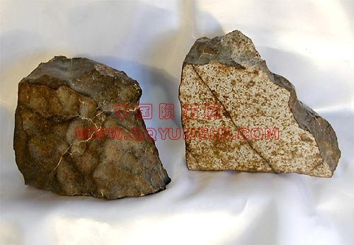 dag-477[1]加尼477的Dar Al本书完 石橄榄石 紫苏辉石球粒陨石（L5）发现1998Hammadah哈.jpg