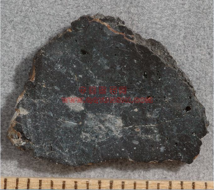 lm_nwa_6355_4533m[2].JPG