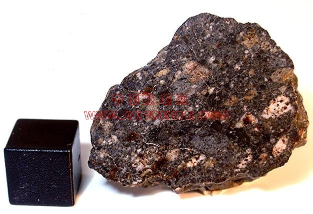 lm_dhofar_960_michael_blood[1].jpg