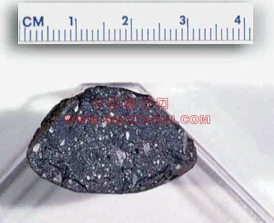 lm_calcalong[1].jpg