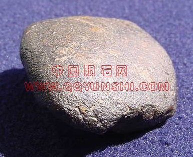 lm_nwa3136_mug[1].jpg