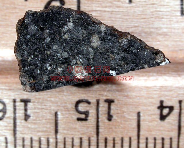 lm_nwa3136_2448ls[1].jpg