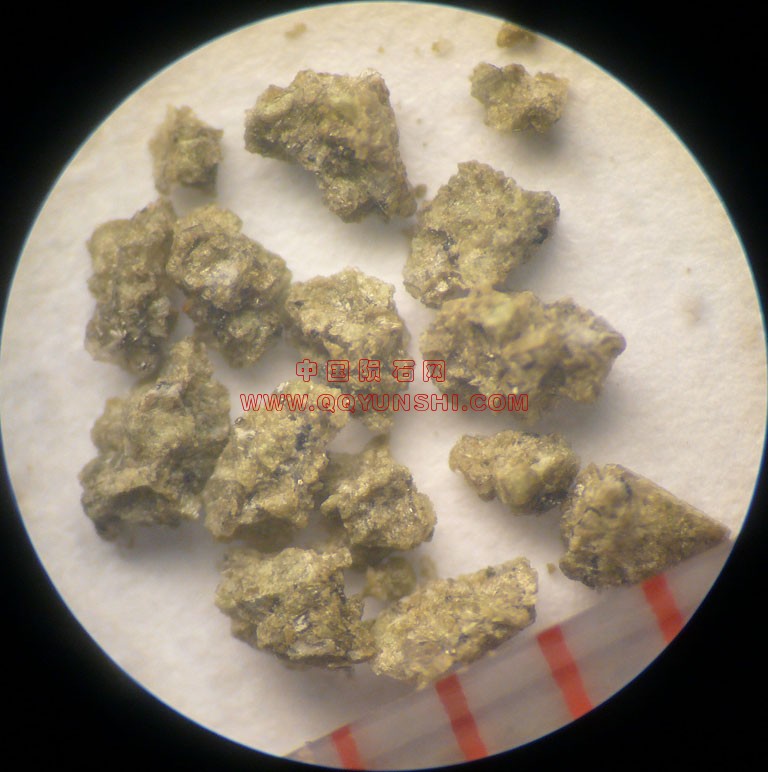 30386_6094_2585[1].jpg