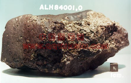 ALH84001[1].jpg