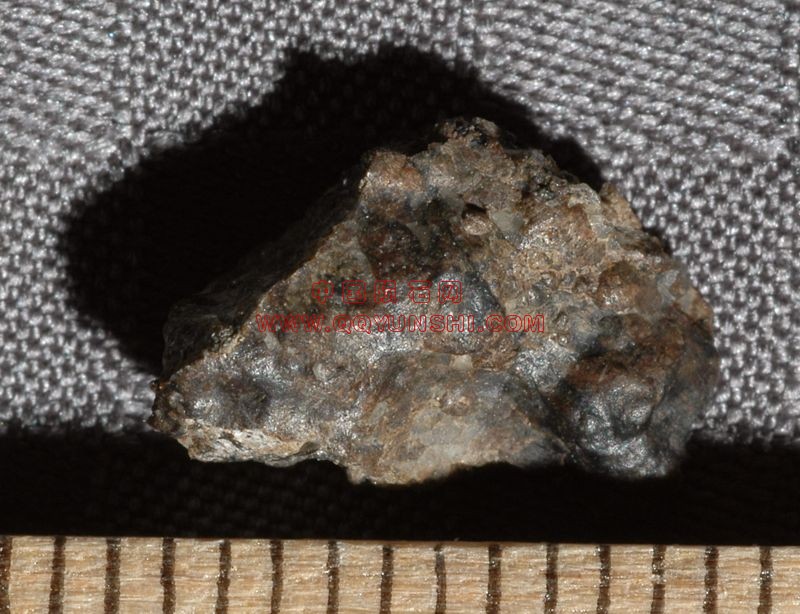 lm_nea003_0744m[1].jpg