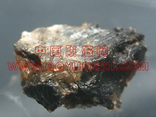 dho378_shinish[1].jpg
