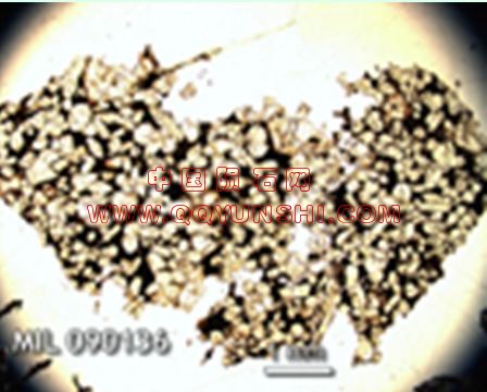 090136.JPG