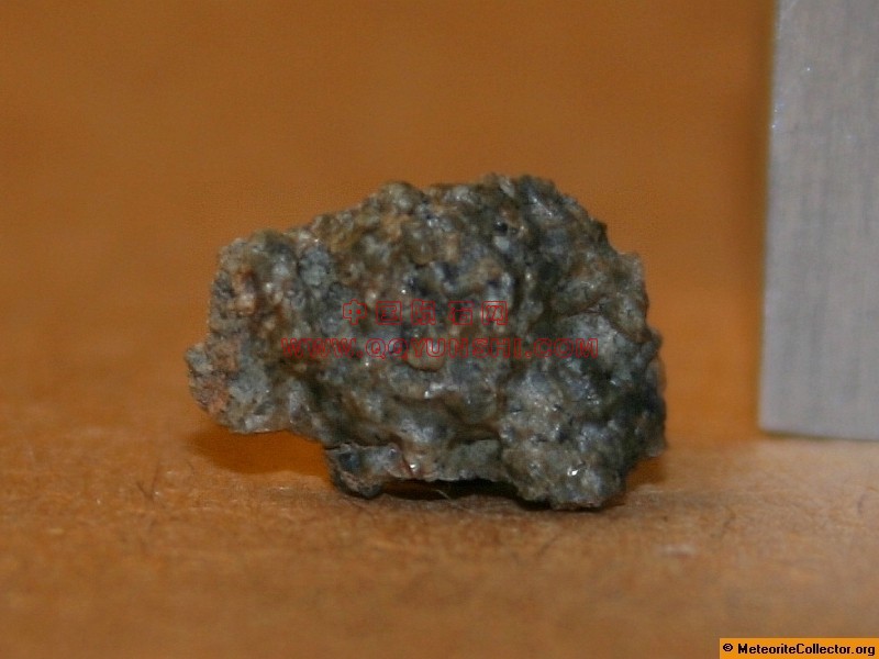 5219_6873_2588[1].jpg