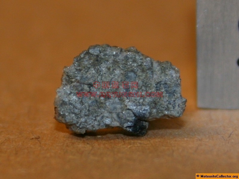 5219_6872_2588[1].jpg