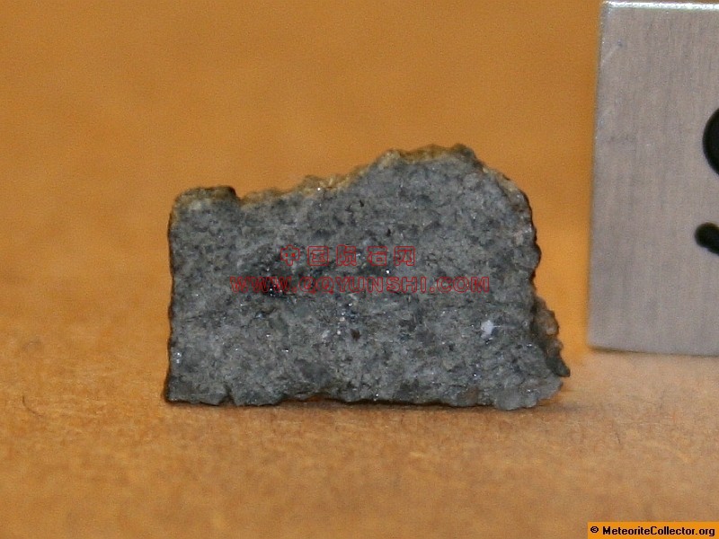 2975_6867_2588[1].jpg