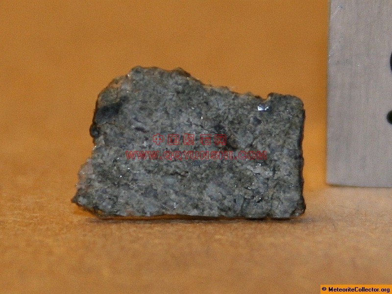 2975_6868_2588[1].jpg